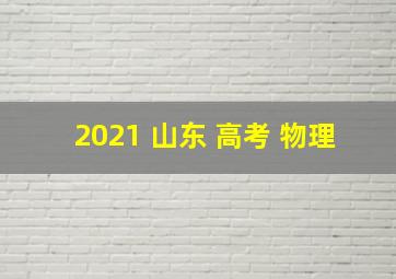 2021 山东 高考 物理